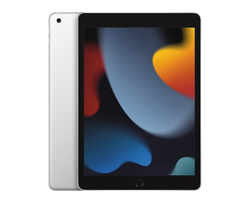 Apple iPad 10.2" Wi-Fi + Cellular 256GB Silver
