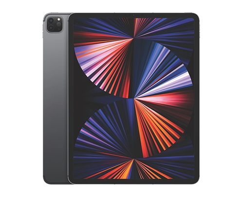 Apple iPad Pro 12.9" 256GB Wi-Fi Space Grey (2021)