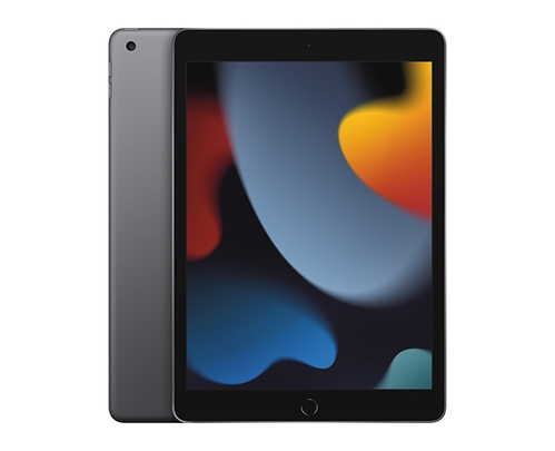 Apple iPad 10.2" Wi-Fi 256GB Space Grey