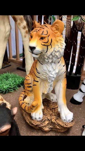 Jungle tiger