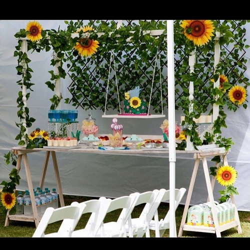 Table canopy with cake swing